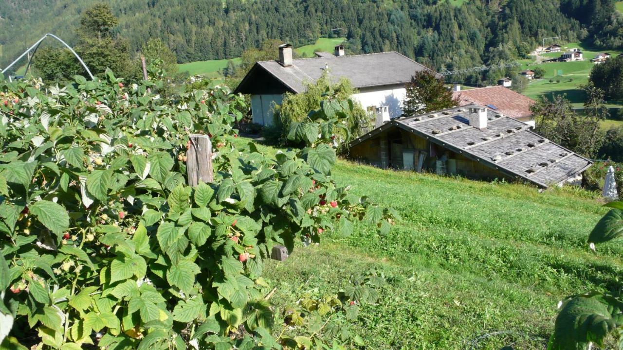 Appartement Obergereuth Hof 1288 à San Martino In Passiria  Extérieur photo
